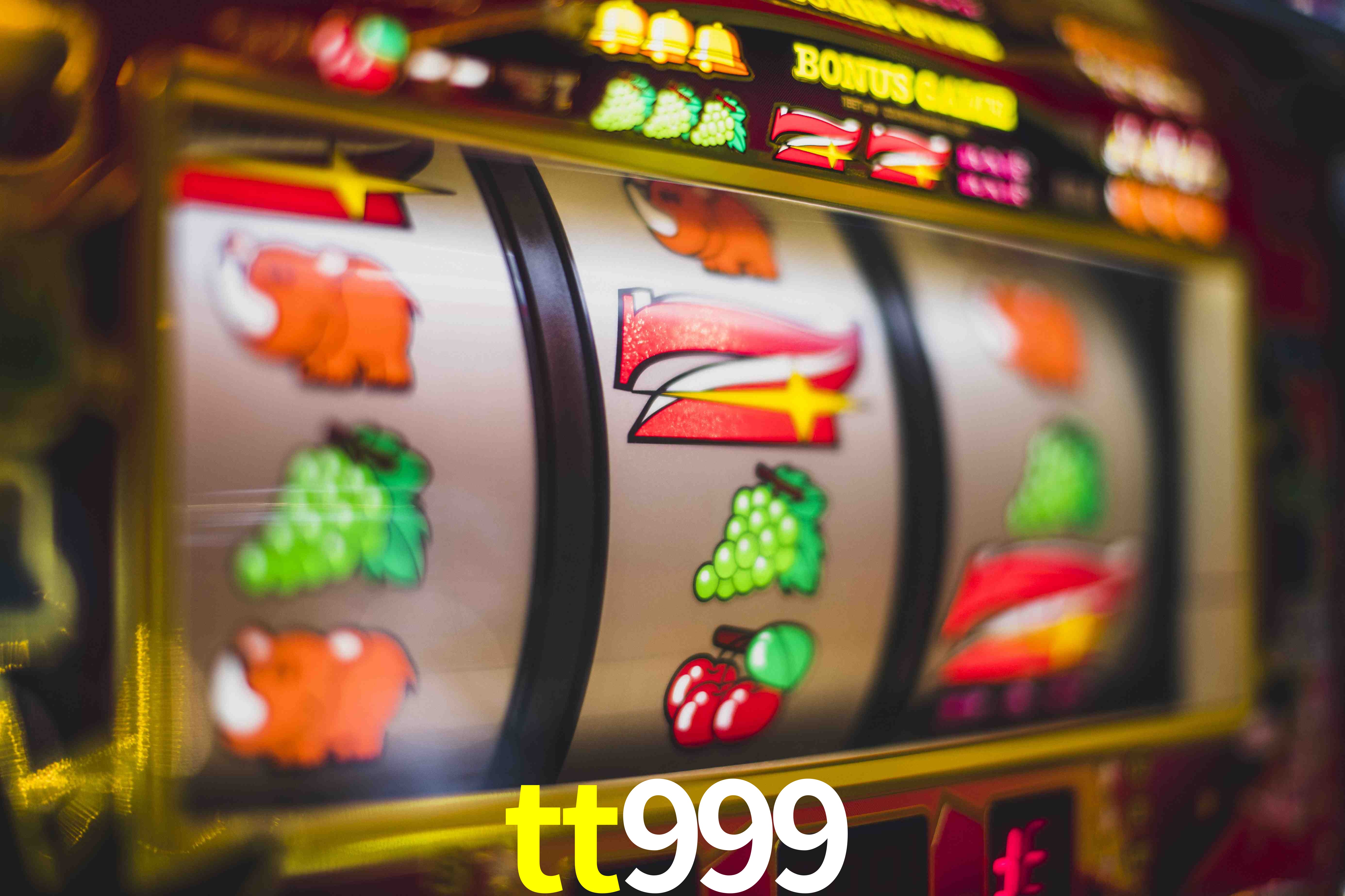 Live Casino tt999